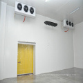 High Quality Potato Cold Storage Room